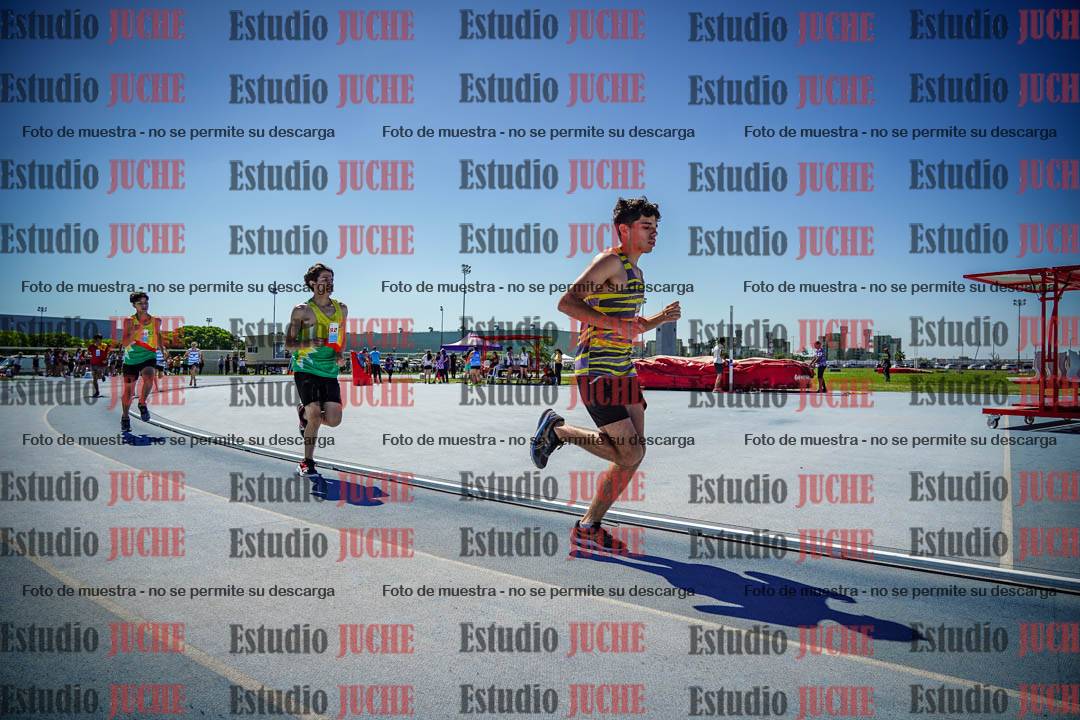 Fotos de los 800 m llanos de varones