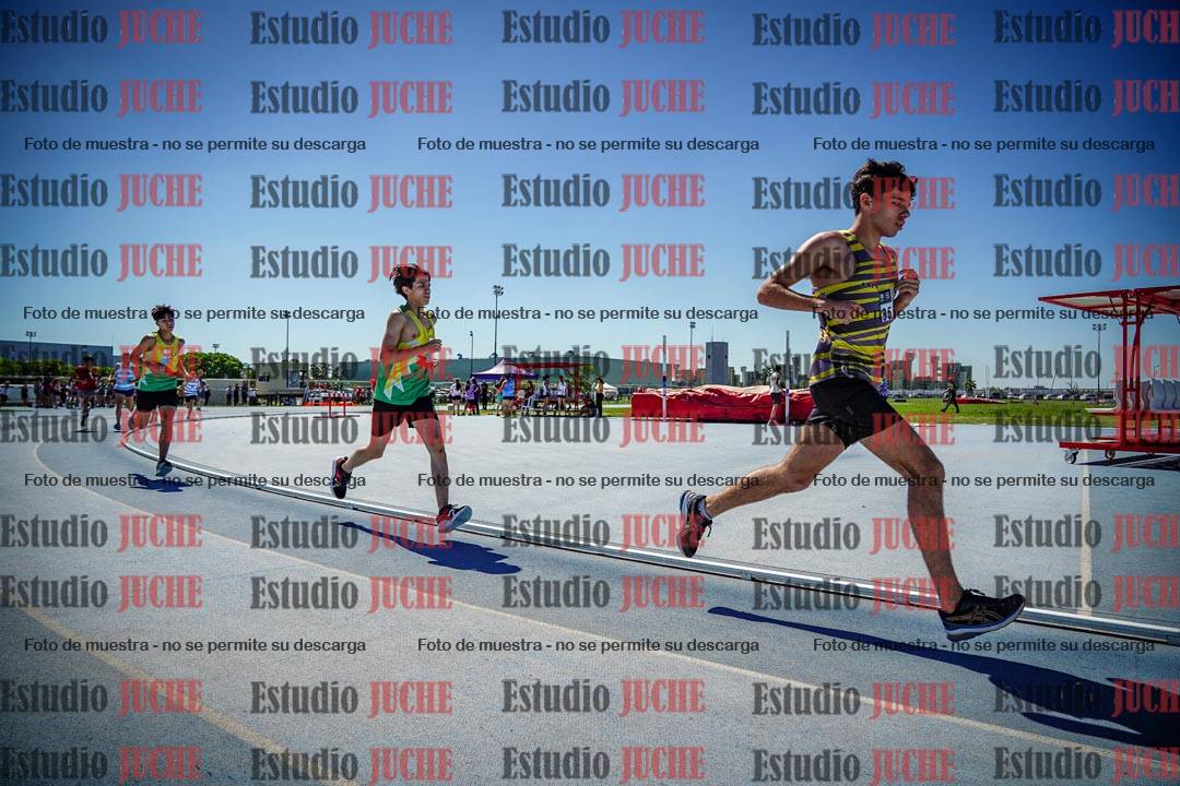 Fotos de los 800 m llanos de varones
