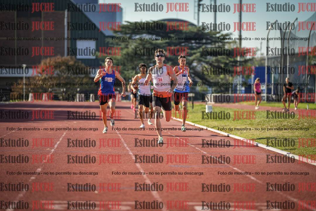 Fotos de los 800 m llanos de varones