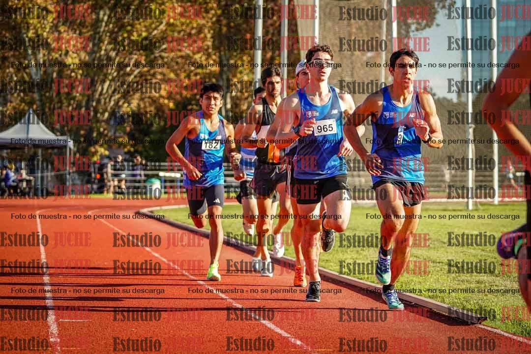 Fotos de los 3000 m llanos de varones