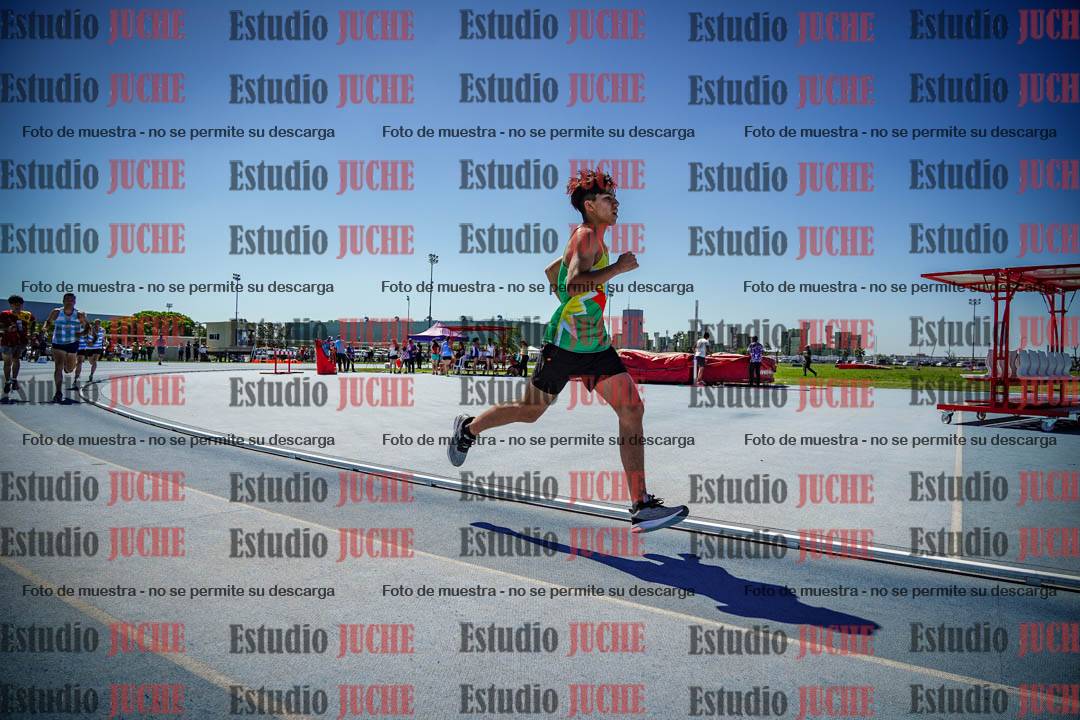 Fotos de los 800 m llanos de varones