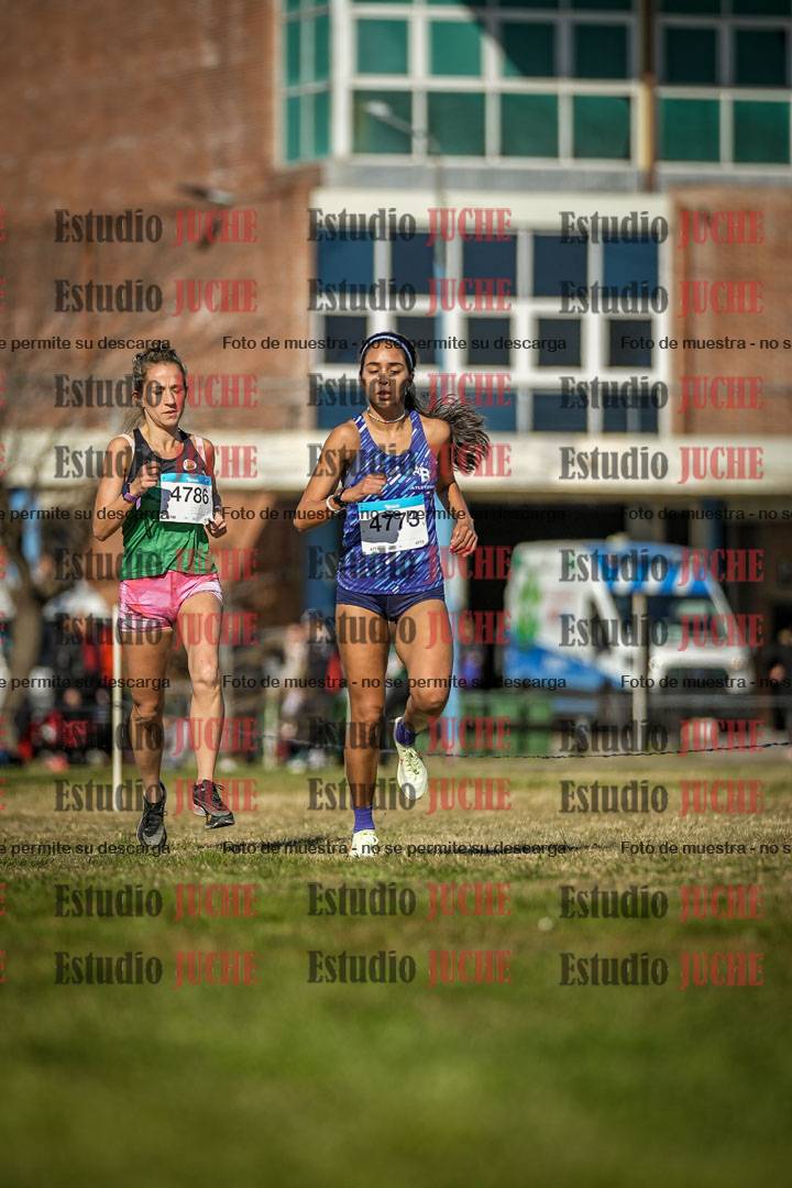 Fotos en el circuito