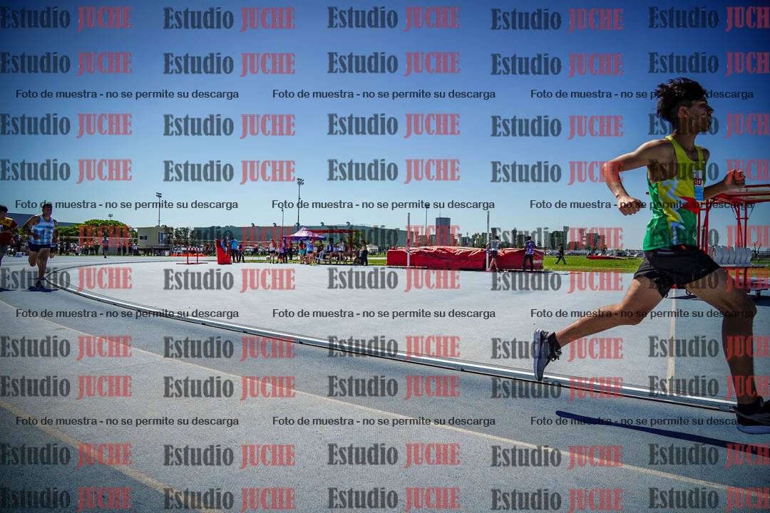 Fotos de los 800 m llanos de varones
