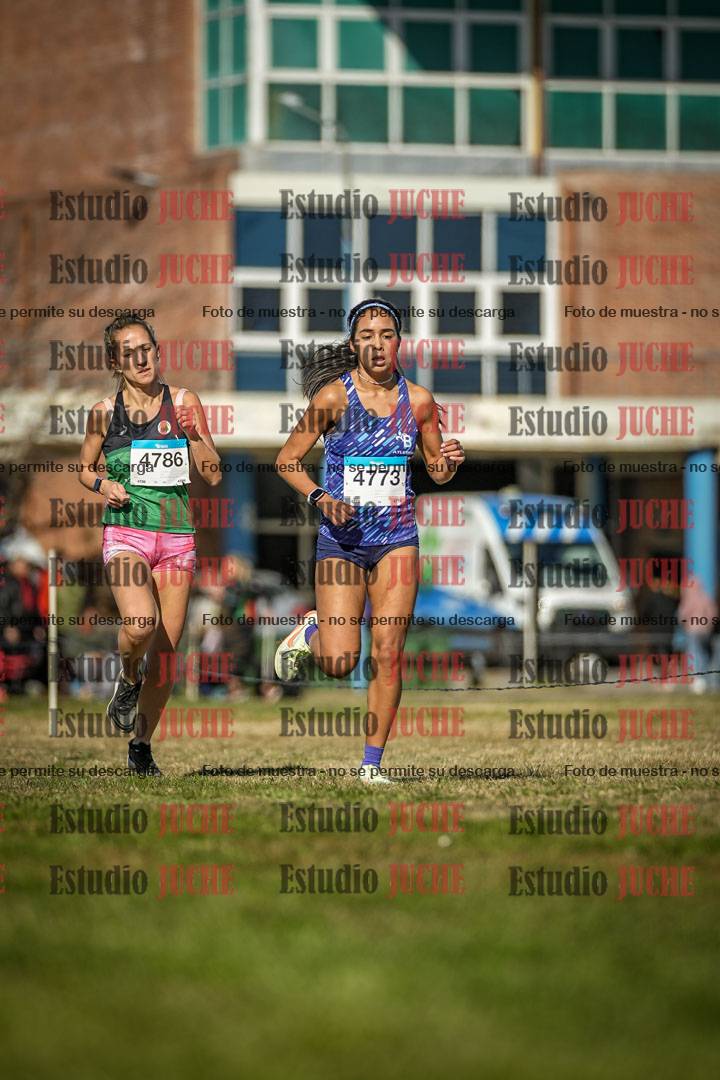 Fotos en el circuito