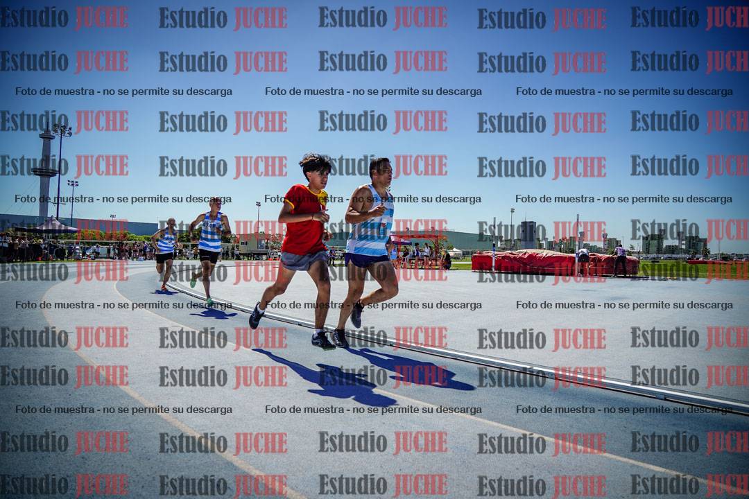 Fotos de los 800 m llanos de varones