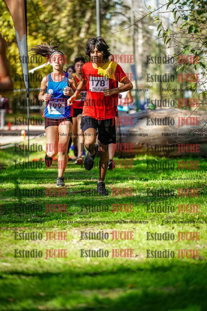 Fotos en el segundo punto del circuito