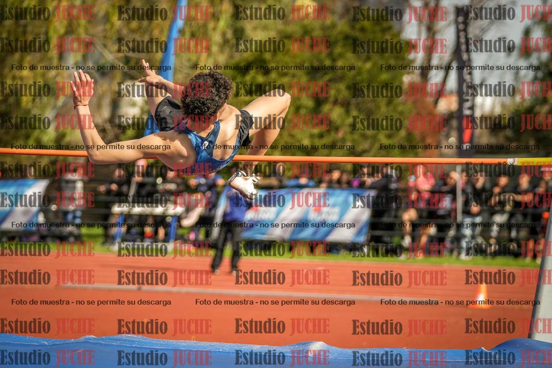 Fotos del salto en alto de varones
