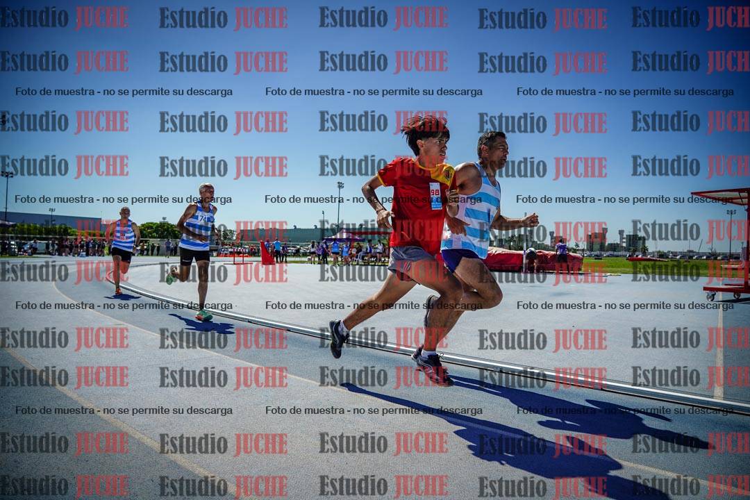 Fotos de los 800 m llanos de varones