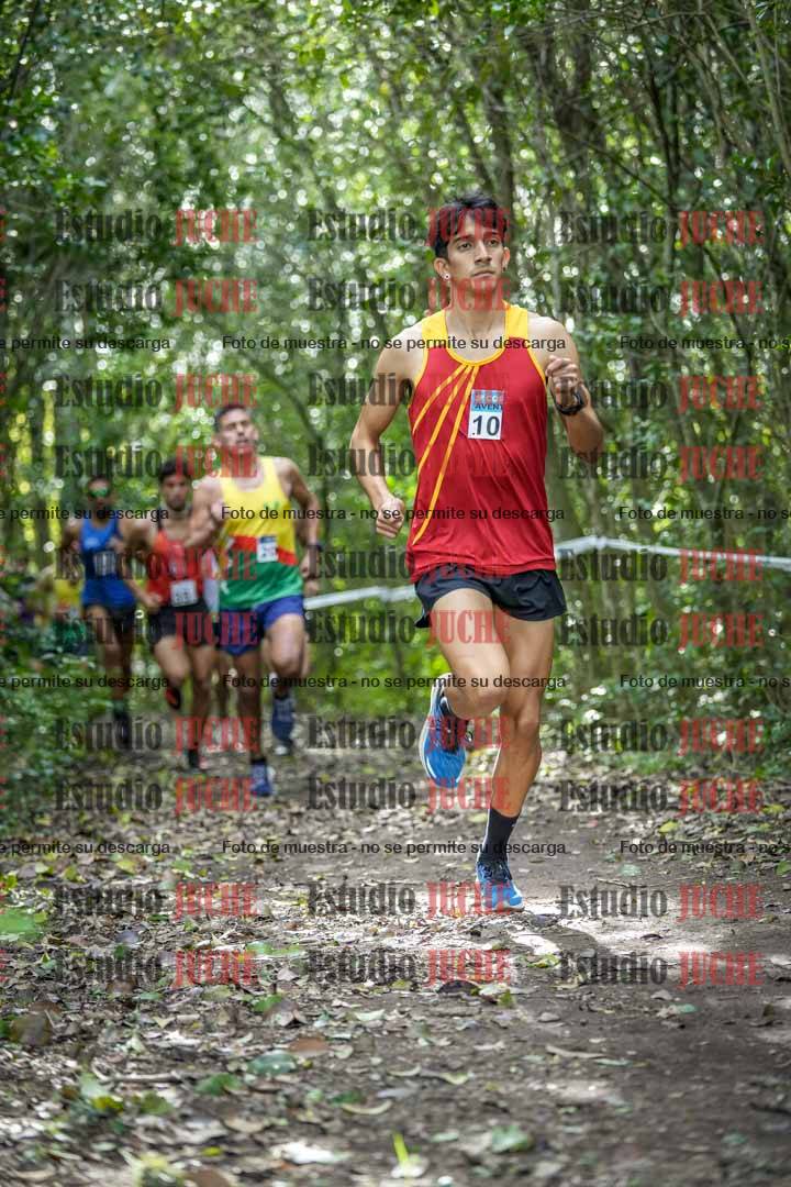 Fotos en el circuito
