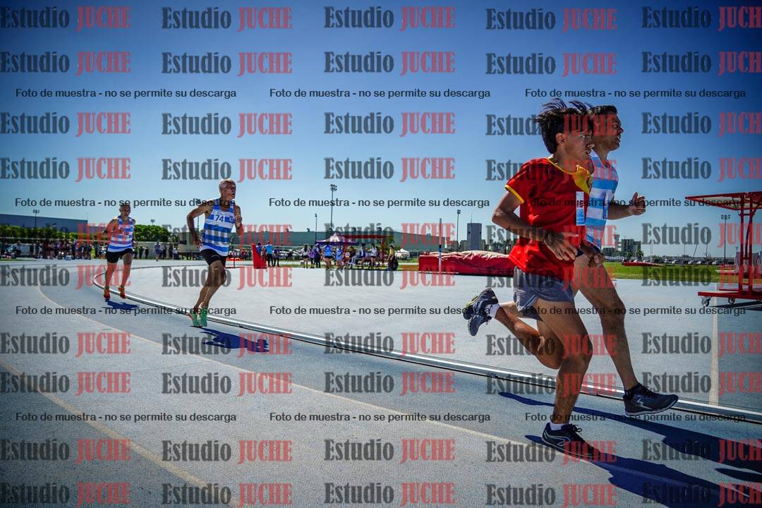 Fotos de los 800 m llanos de varones