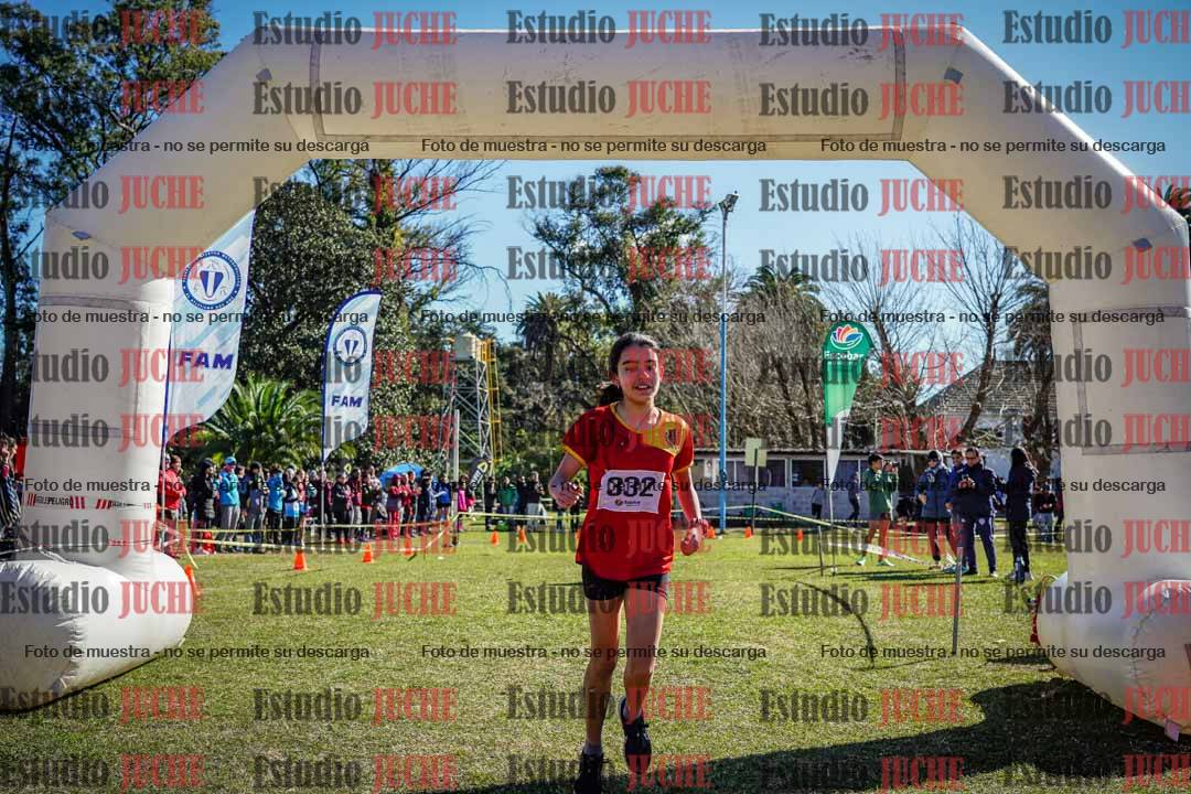 Fotos de la llegada del cross de 1500 m