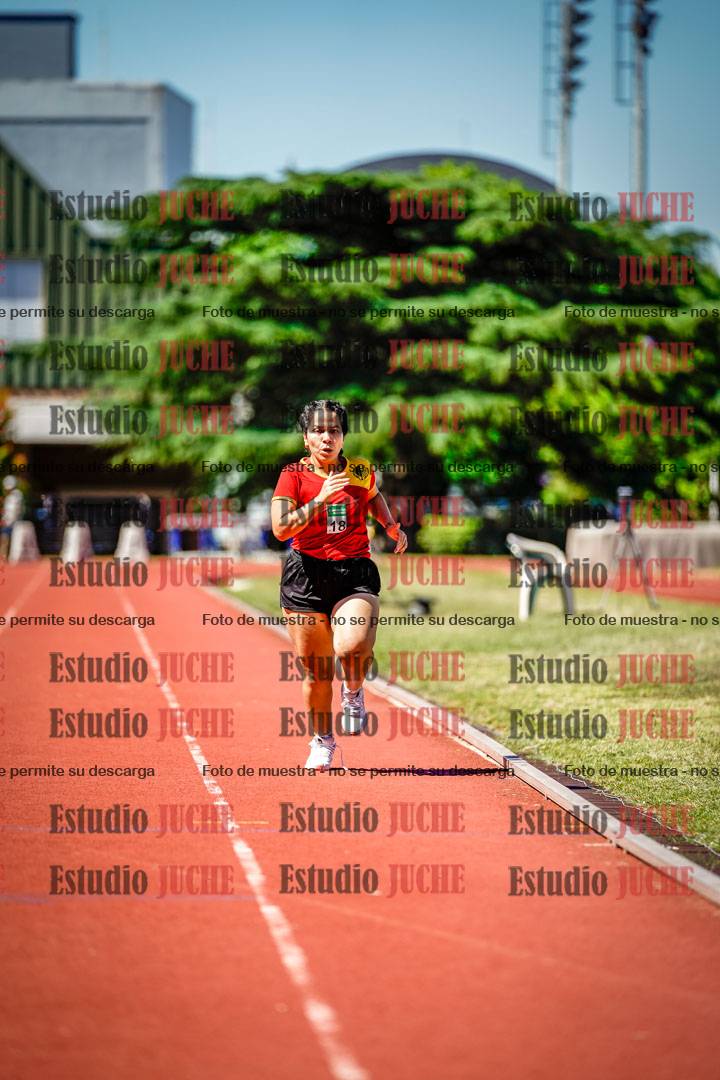 Fotos de los 800 m llanos de mujeres
