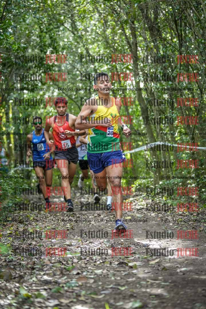 Fotos en el circuito