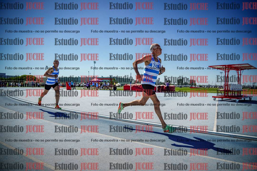 Fotos de los 800 m llanos de varones