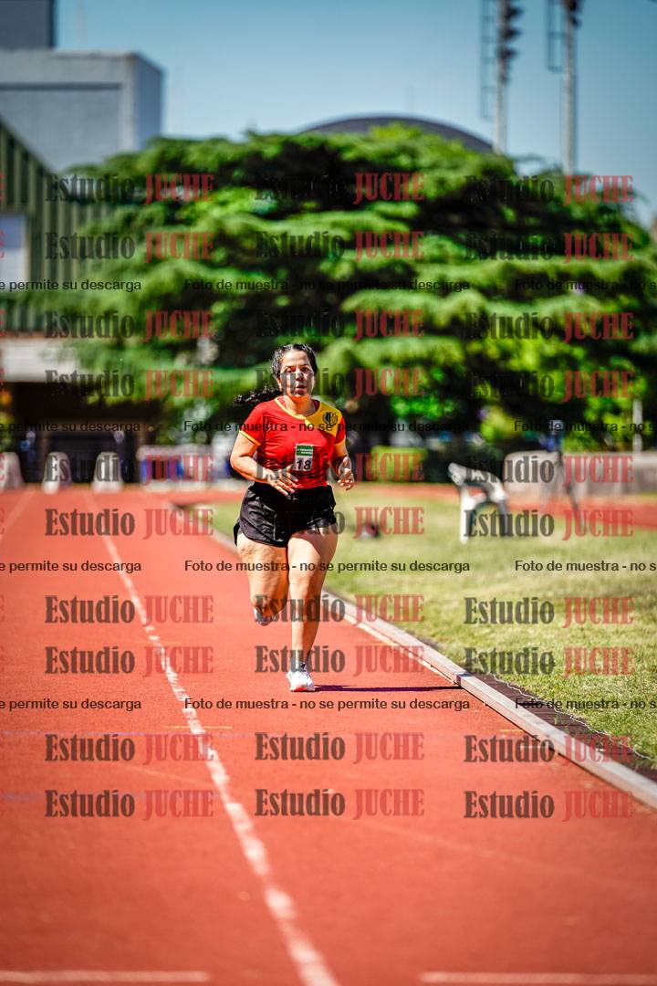 Fotos de los 800 m llanos de mujeres