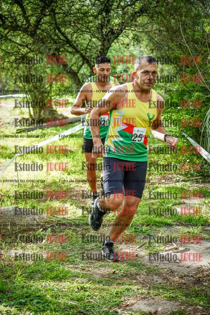 Fotos en el circuito