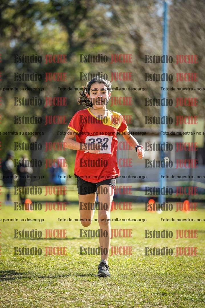 Fotos de la llegada del cross de 1500 m