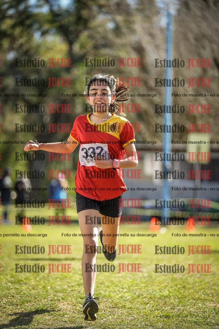 Fotos de la llegada del cross de 1500 m