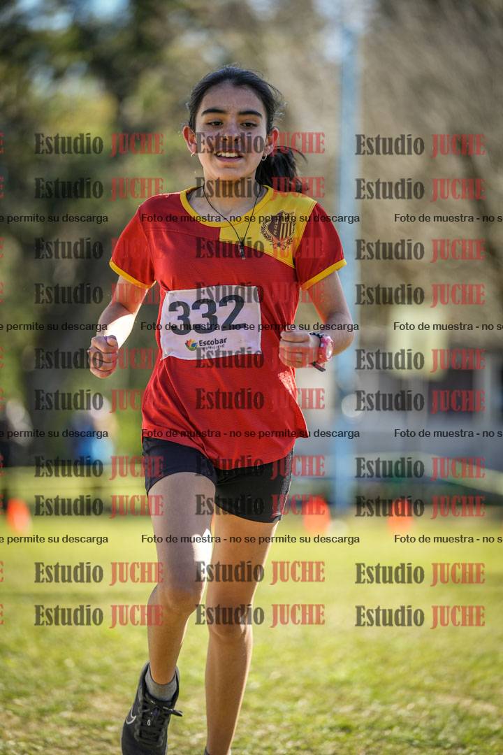 Fotos de la llegada del cross de 1500 m