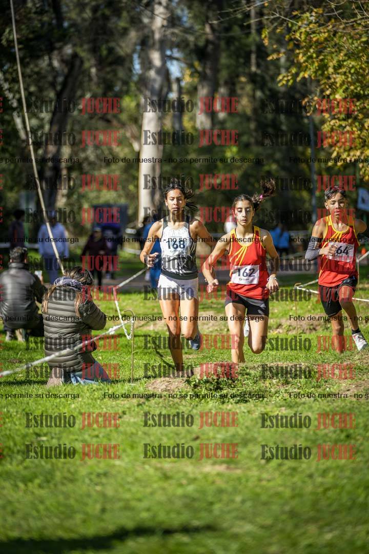 Fotos en el tercer punto del circuito