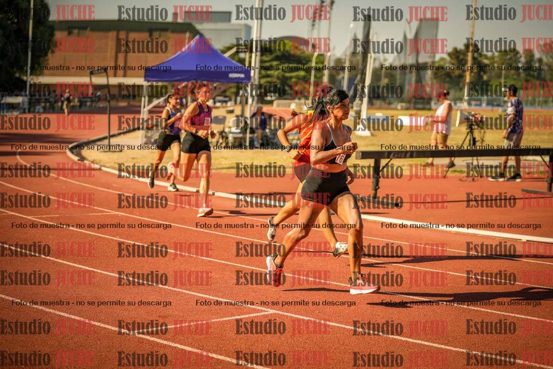 Fotos de los 800 m llanos de mujeres