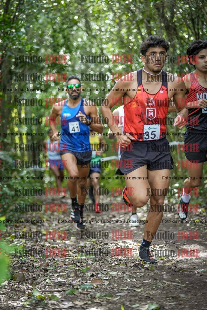 Fotos en el circuito