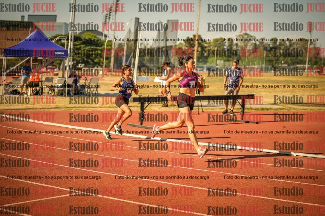 Fotos de los 800 m llanos de mujeres