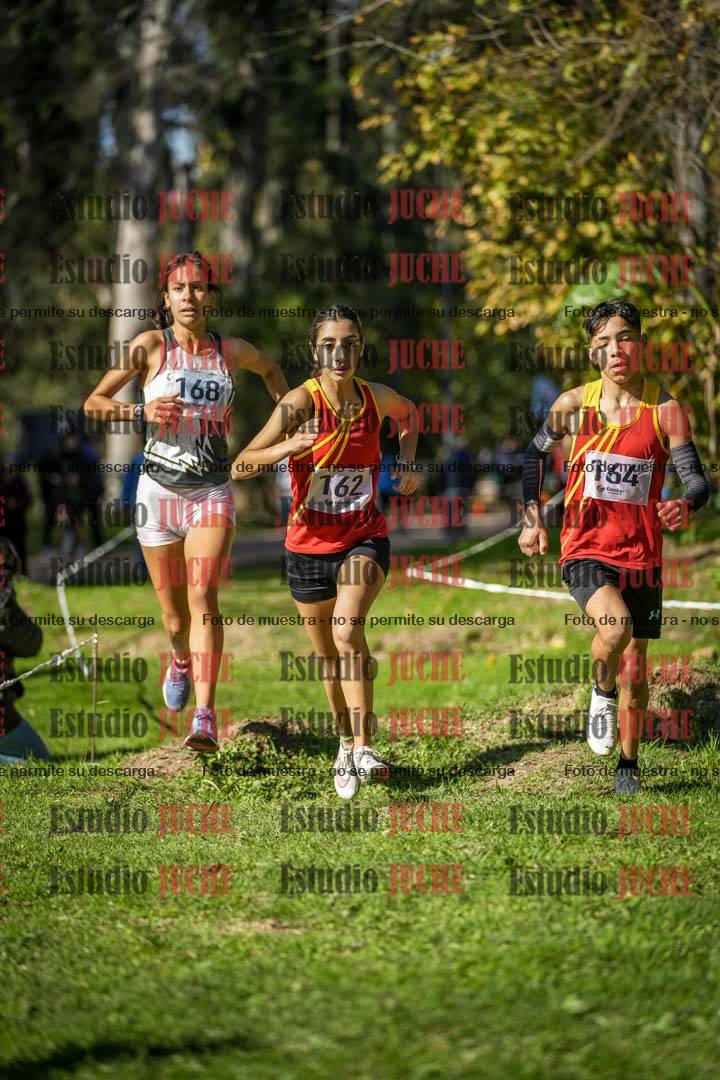 Fotos en el tercer punto del circuito