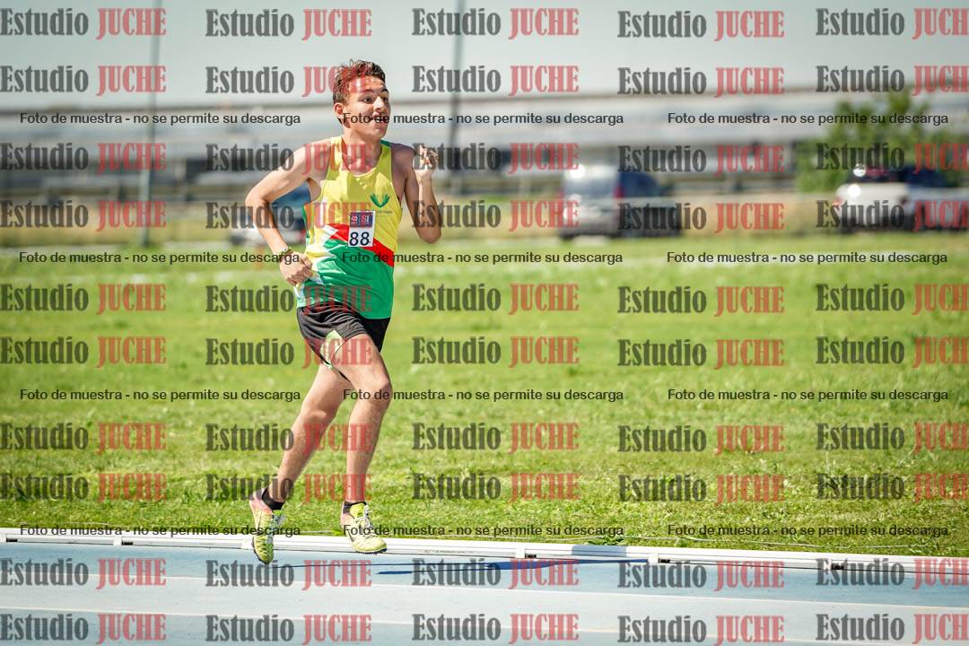 Fotos de los 800 m llanos de varones