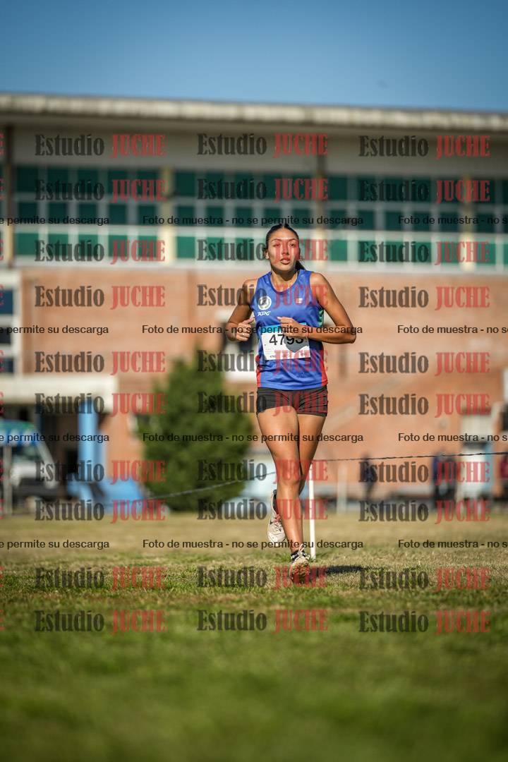 Fotos en el circuito
