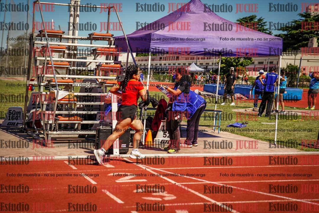 Fotos de los 800 m llanos de mujeres