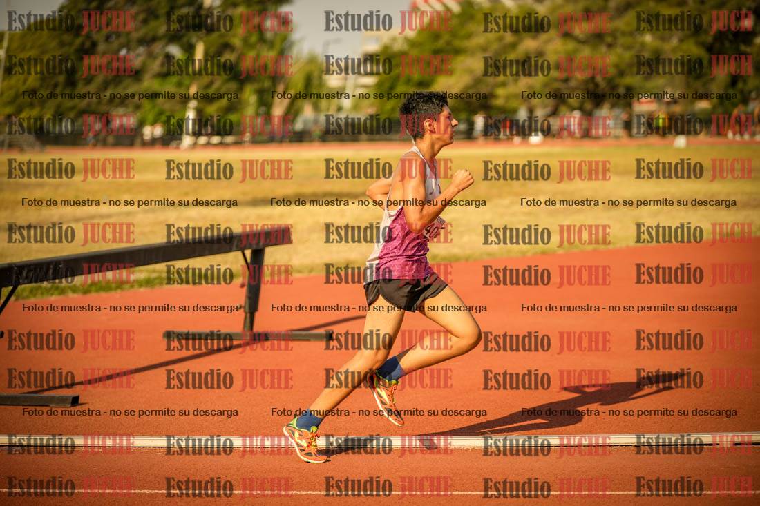 Fotos de los 1500 m llanos de varones