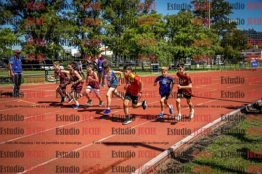 Fotos de los 1000 m llanos de varones