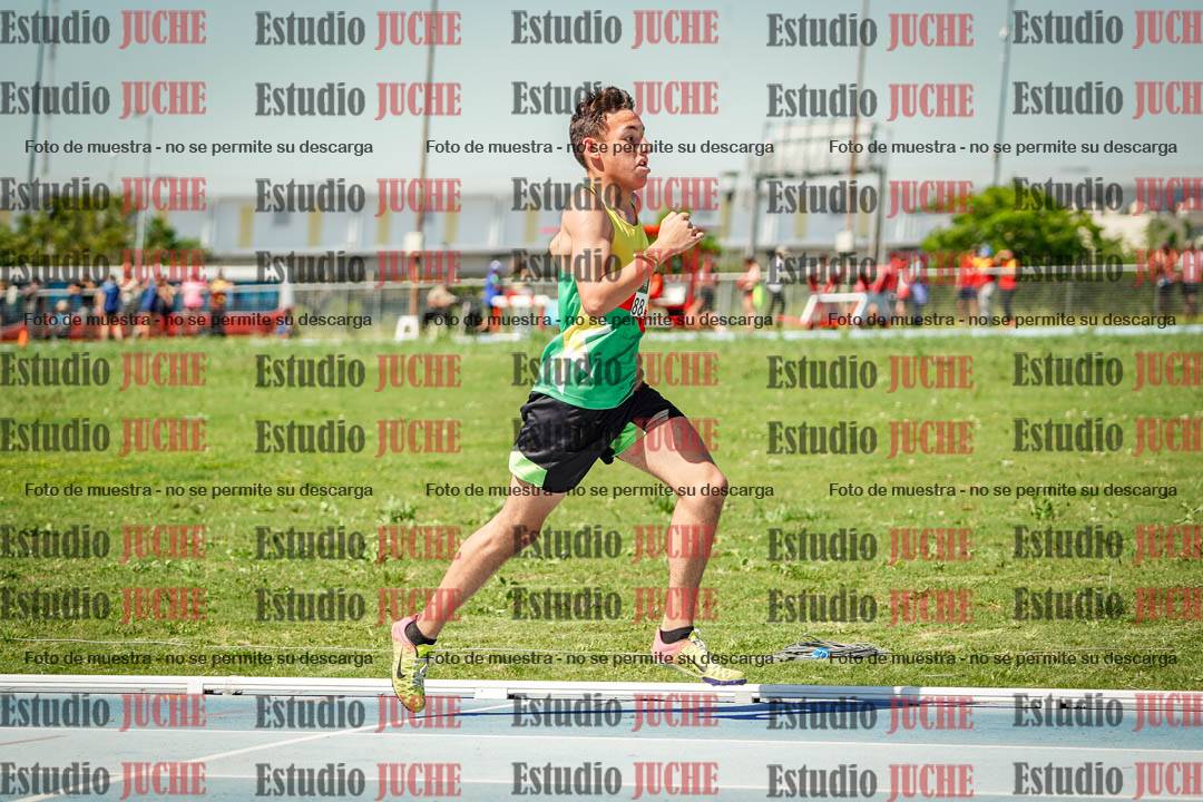 Fotos de los 800 m llanos de varones