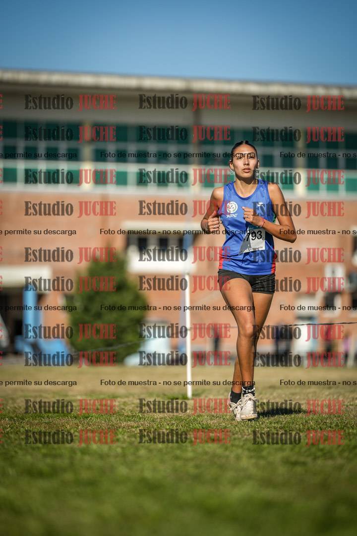 Fotos en el circuito