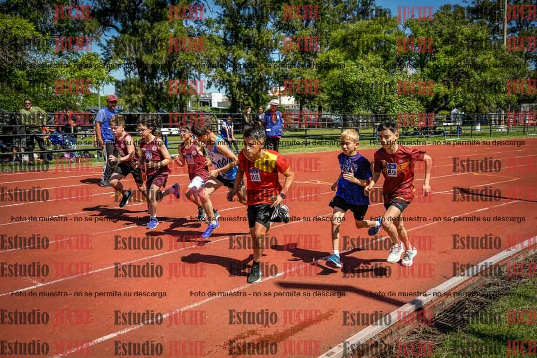 Fotos de los 1000 m llanos de varones