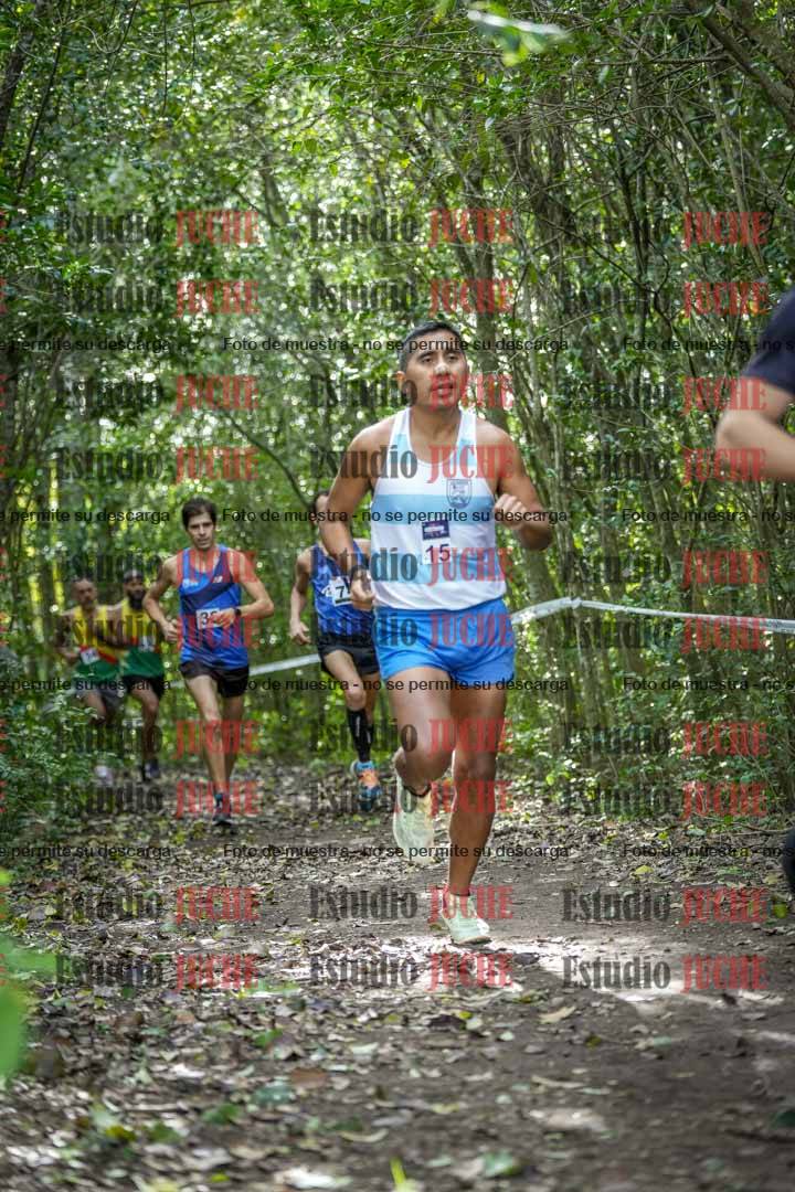 Fotos en el circuito
