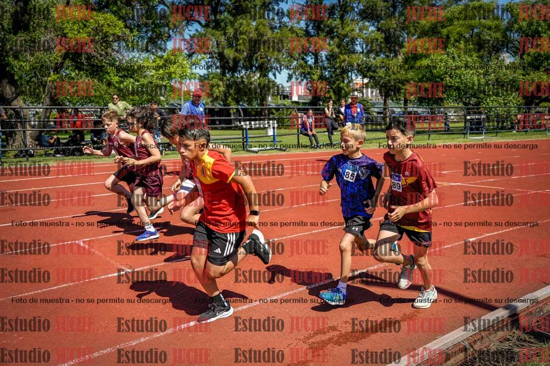 Fotos de los 1000 m llanos de varones