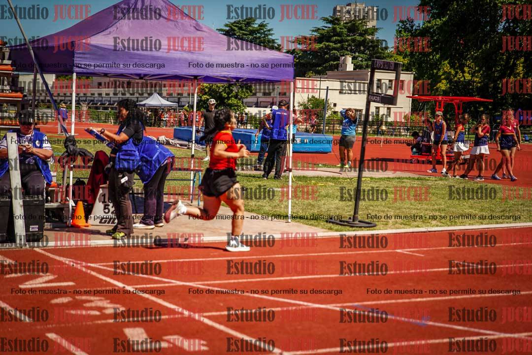 Fotos de los 800 m llanos de mujeres