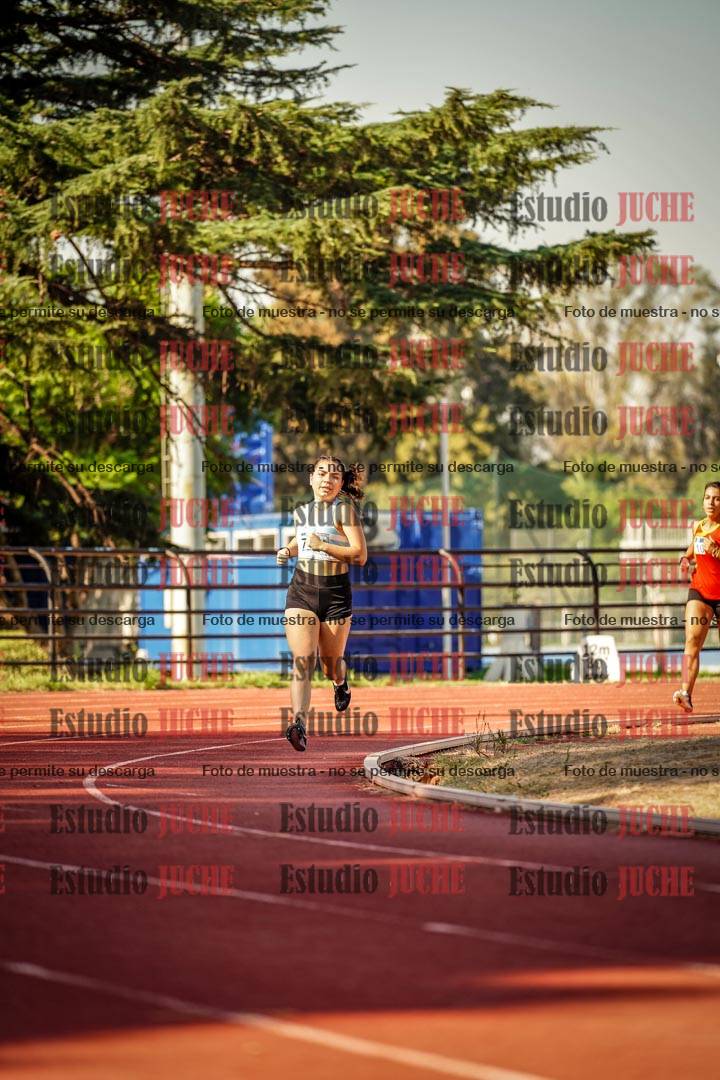 Fotos de los 800 m llanos de mujeres
