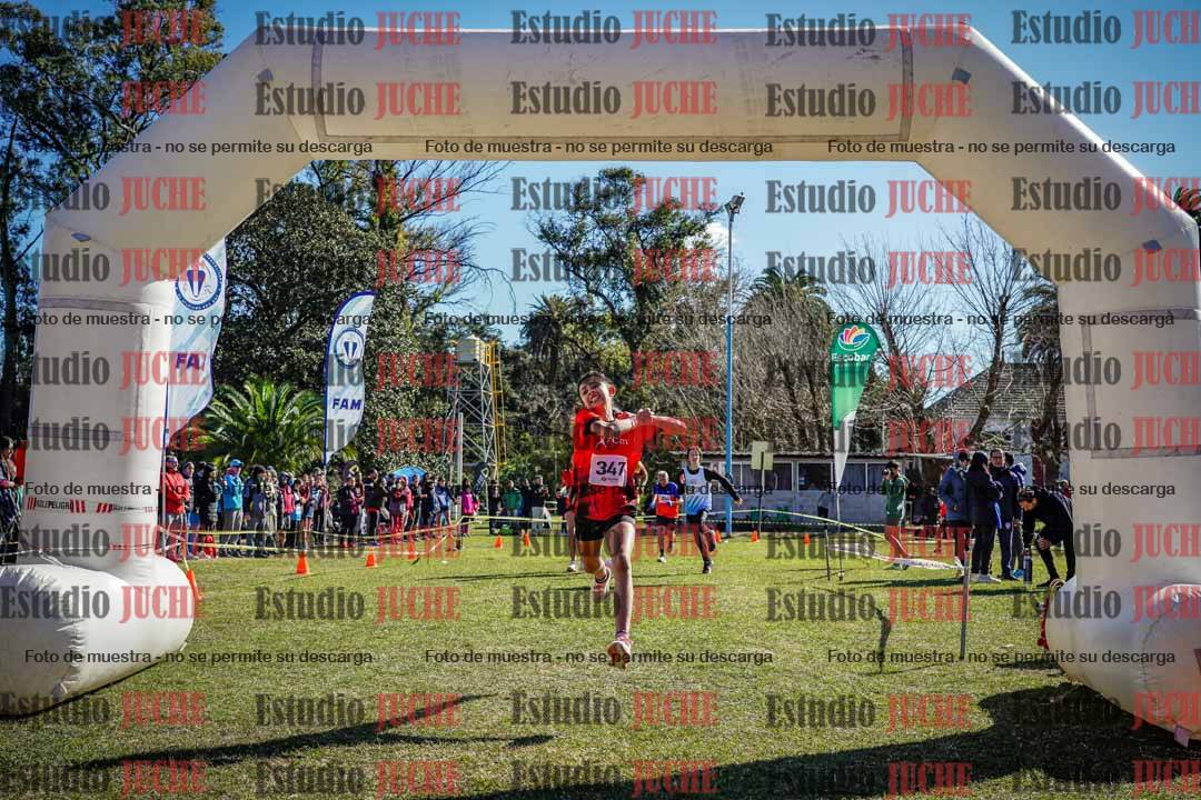 Fotos de la llegada del cross de 1500 m