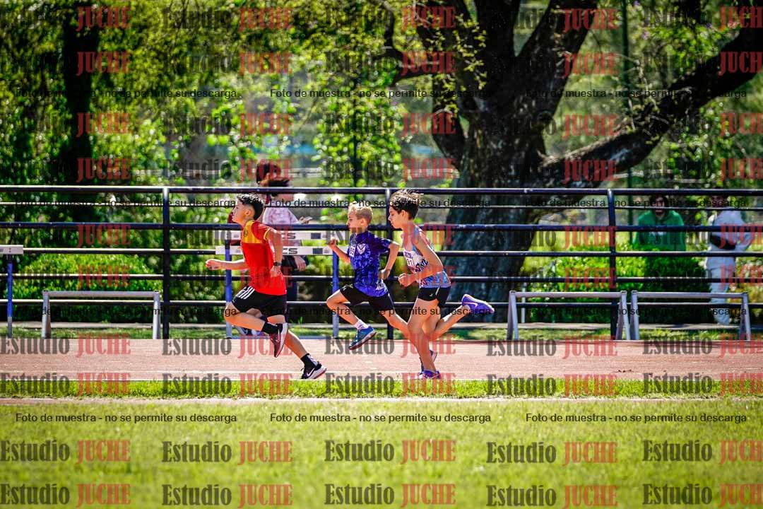 Fotos de los 1000 m llanos de varones