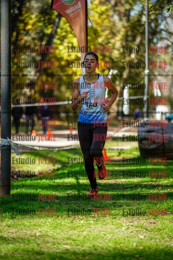Fotos en el segundo punto del circuito