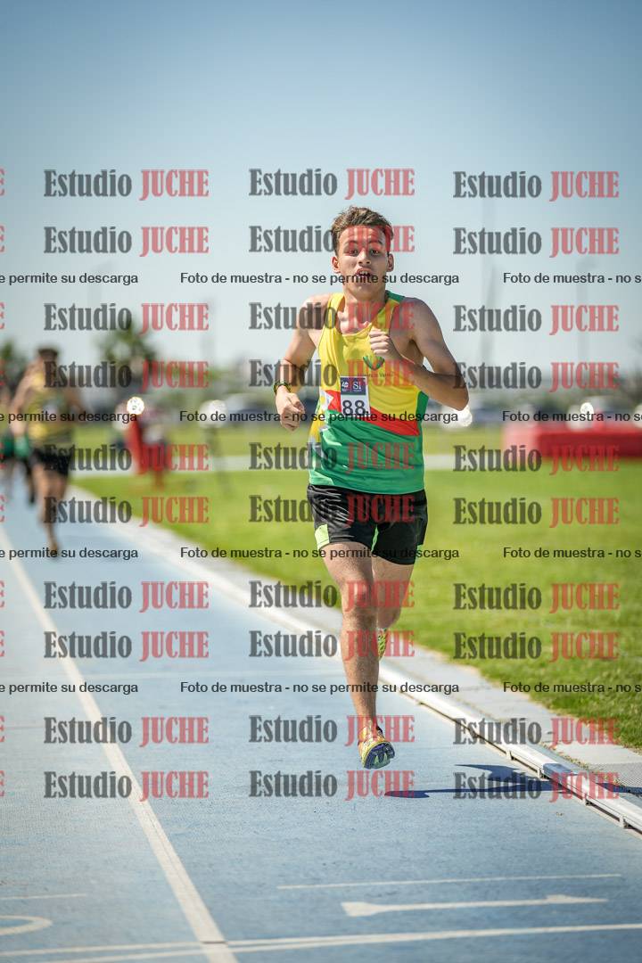 Fotos de los 800 m llanos de varones