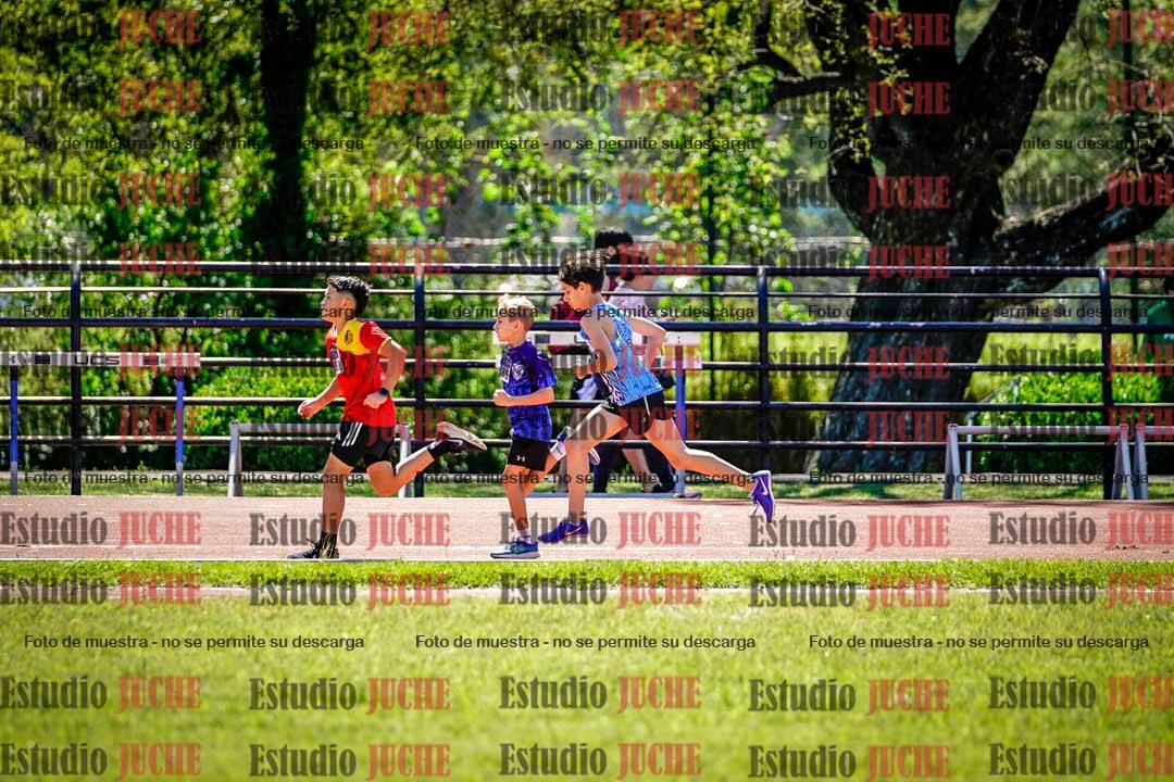 Fotos de los 1000 m llanos de varones