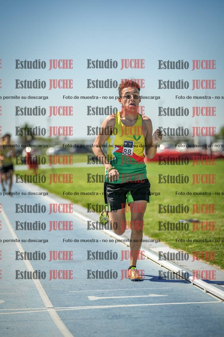 Fotos de los 800 m llanos de varones