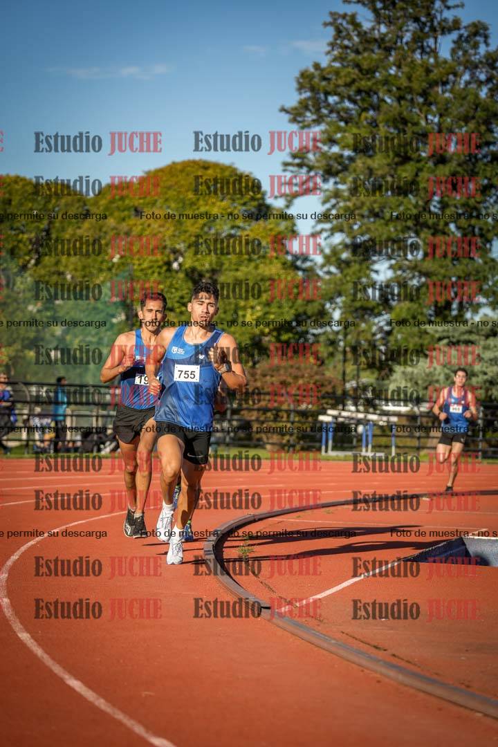 Fotos de los 3000 m llanos de varones