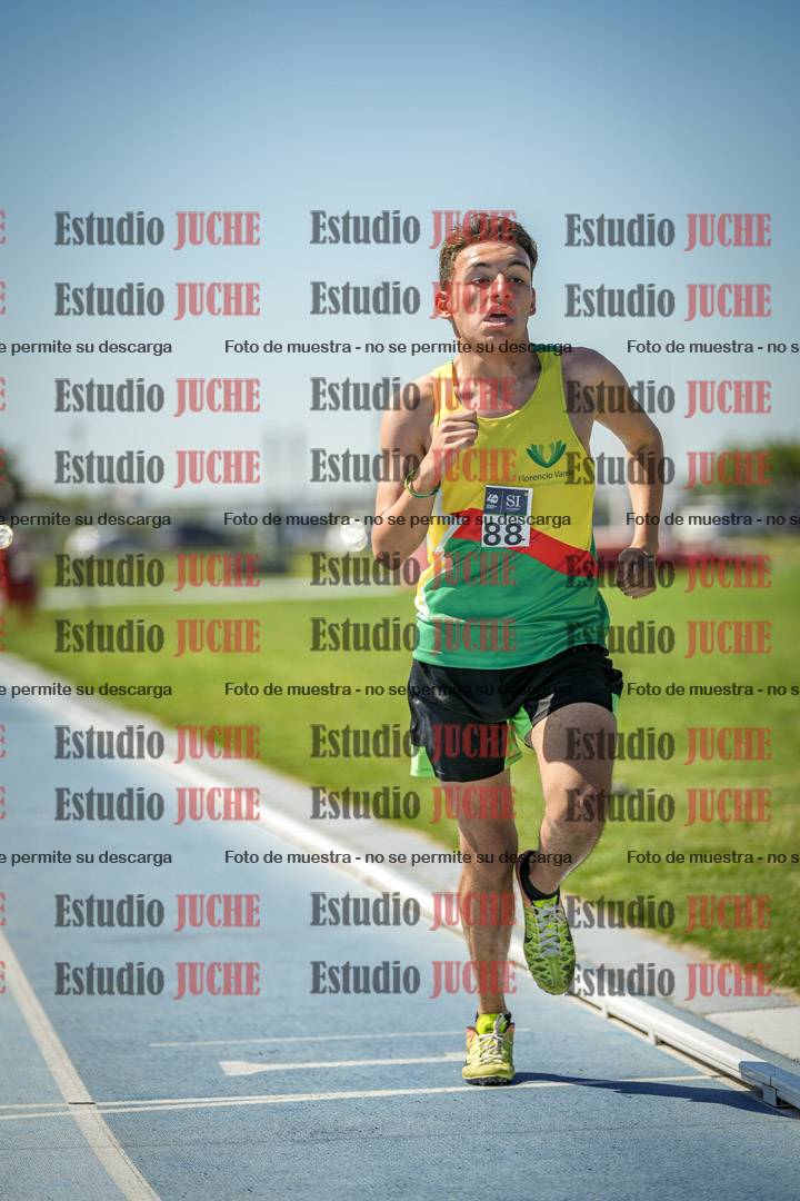 Fotos de los 800 m llanos de varones