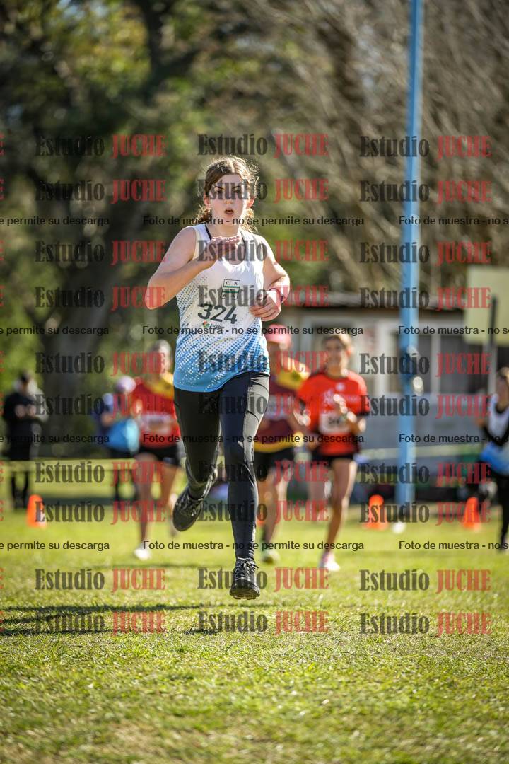 Fotos de la llegada del cross de 1500 m
