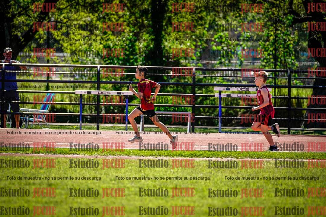 Fotos de los 1000 m llanos de varones